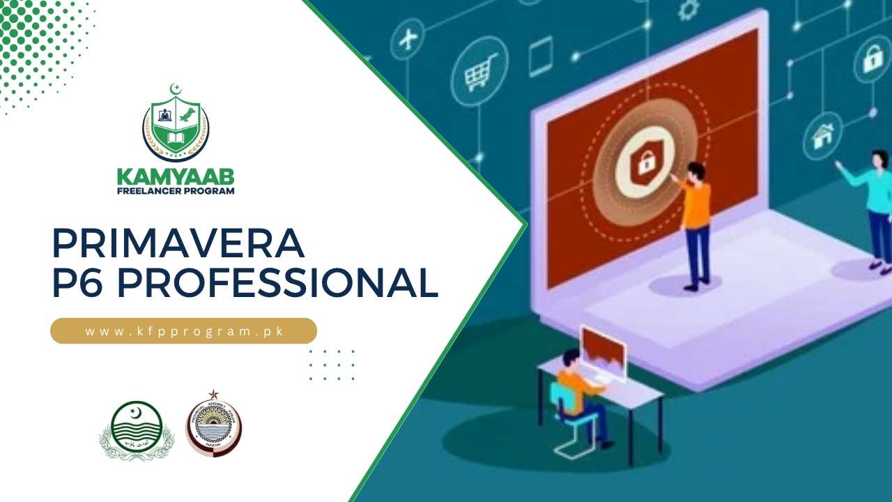 Primavera P6 Professional
